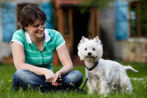 Westie personality Small white dog breeds