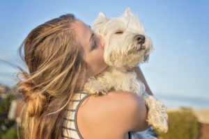 westie personality west highland terrrier temperment