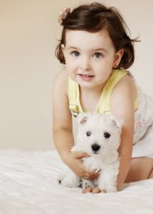 Westies a small white dog